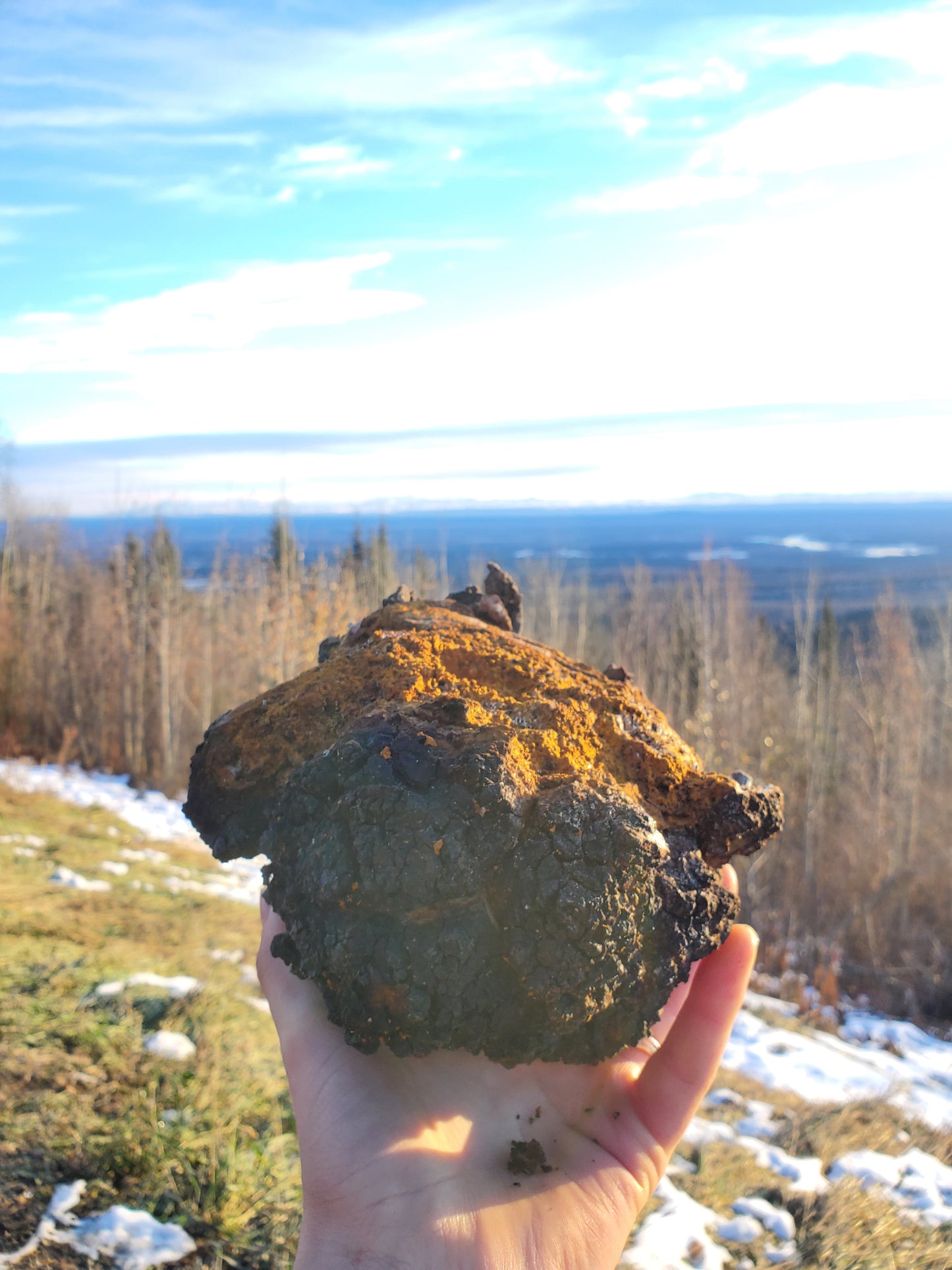 Alaska's Finest Chaga Microgrounds (Wholesale)
