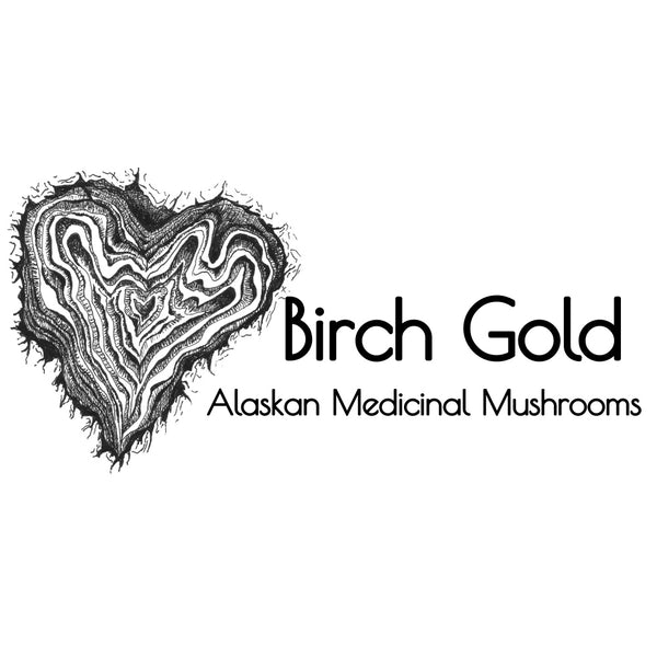 Birch Gold Chaga